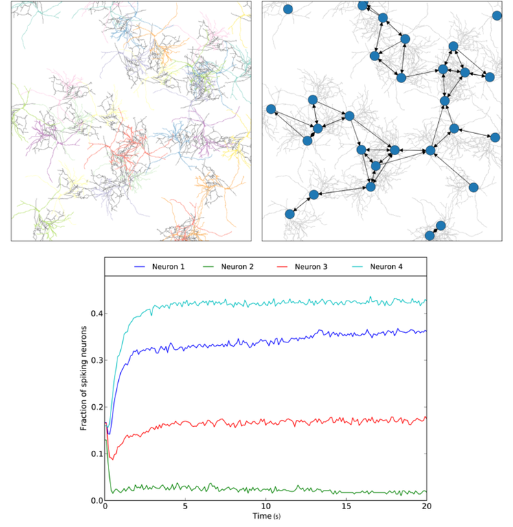 multiscale-768x789.png